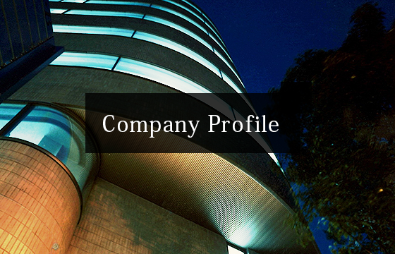 COMPANY PROFILE